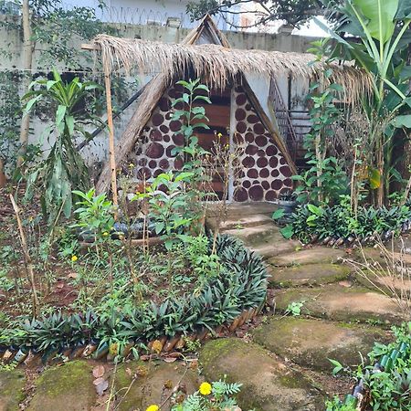 Backpacker Hostel And Jungle Trekking Banlung Eksteriør billede