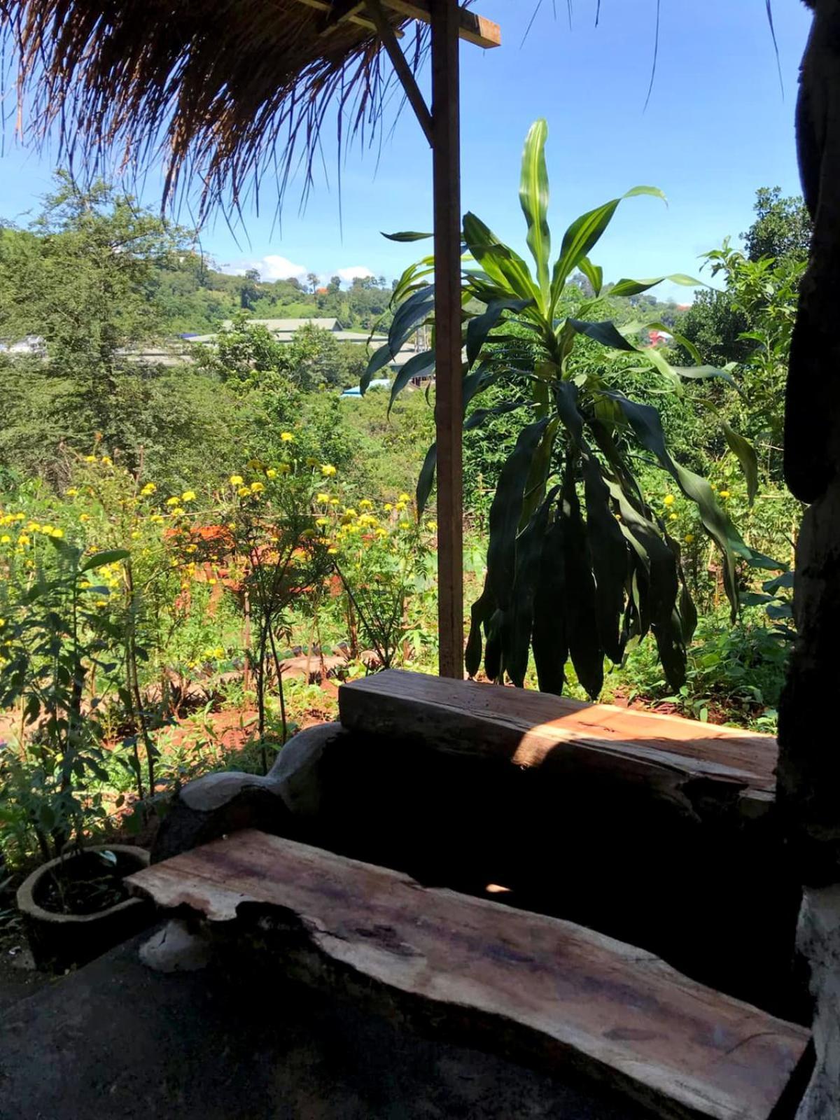 Backpacker Hostel And Jungle Trekking Banlung Eksteriør billede